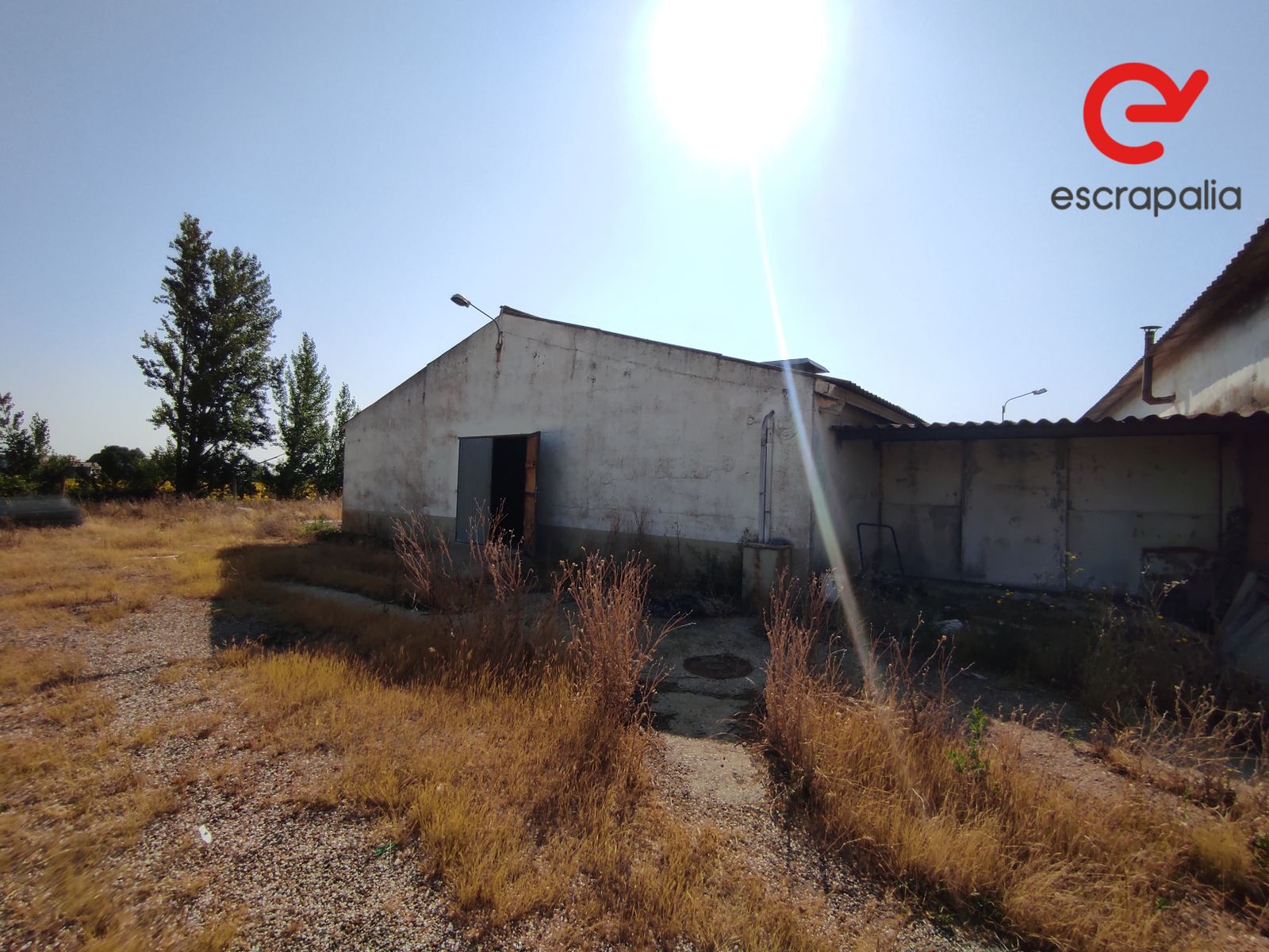 La granja de 43.000 metros cuadrados a subasta por 1 euro