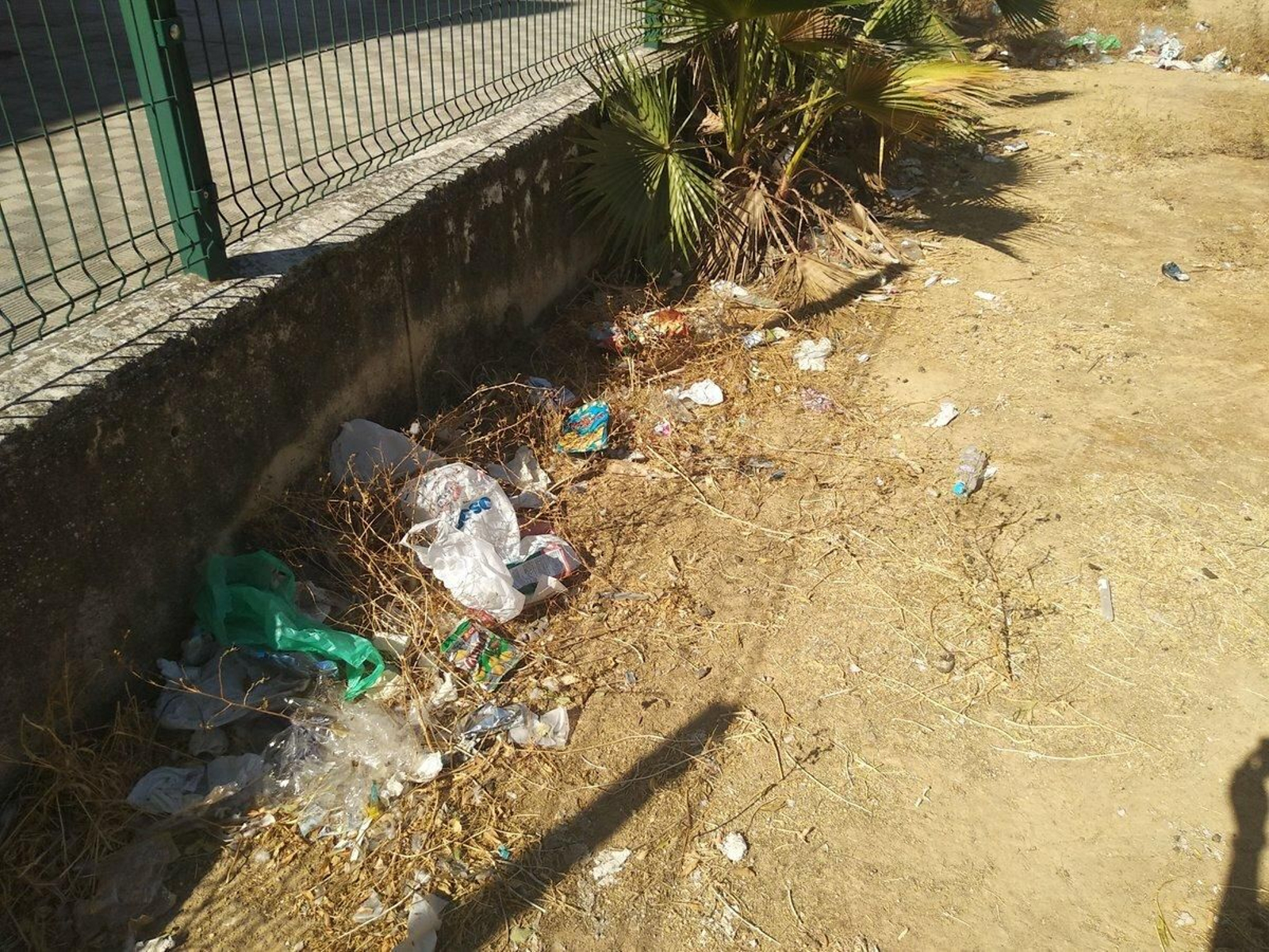 Galería de imágenes de la suciedad en distintos puntos de la ciudad.