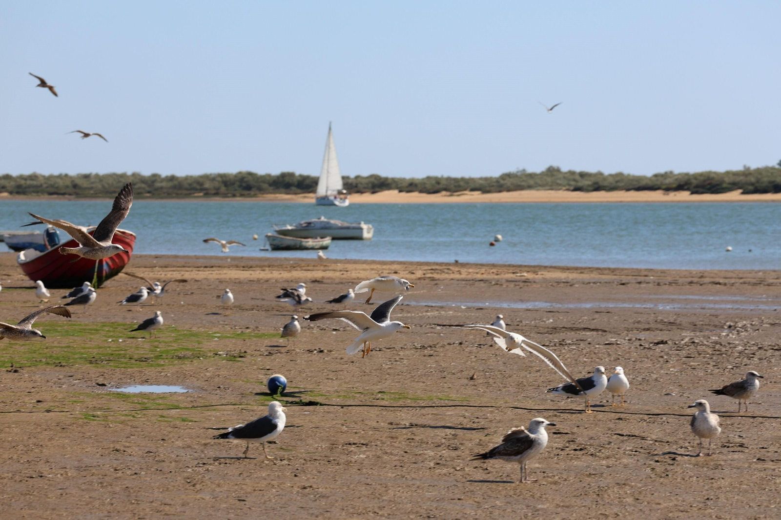 El Rompido: ¿Por qué se llama así esta playa de Huelva?
