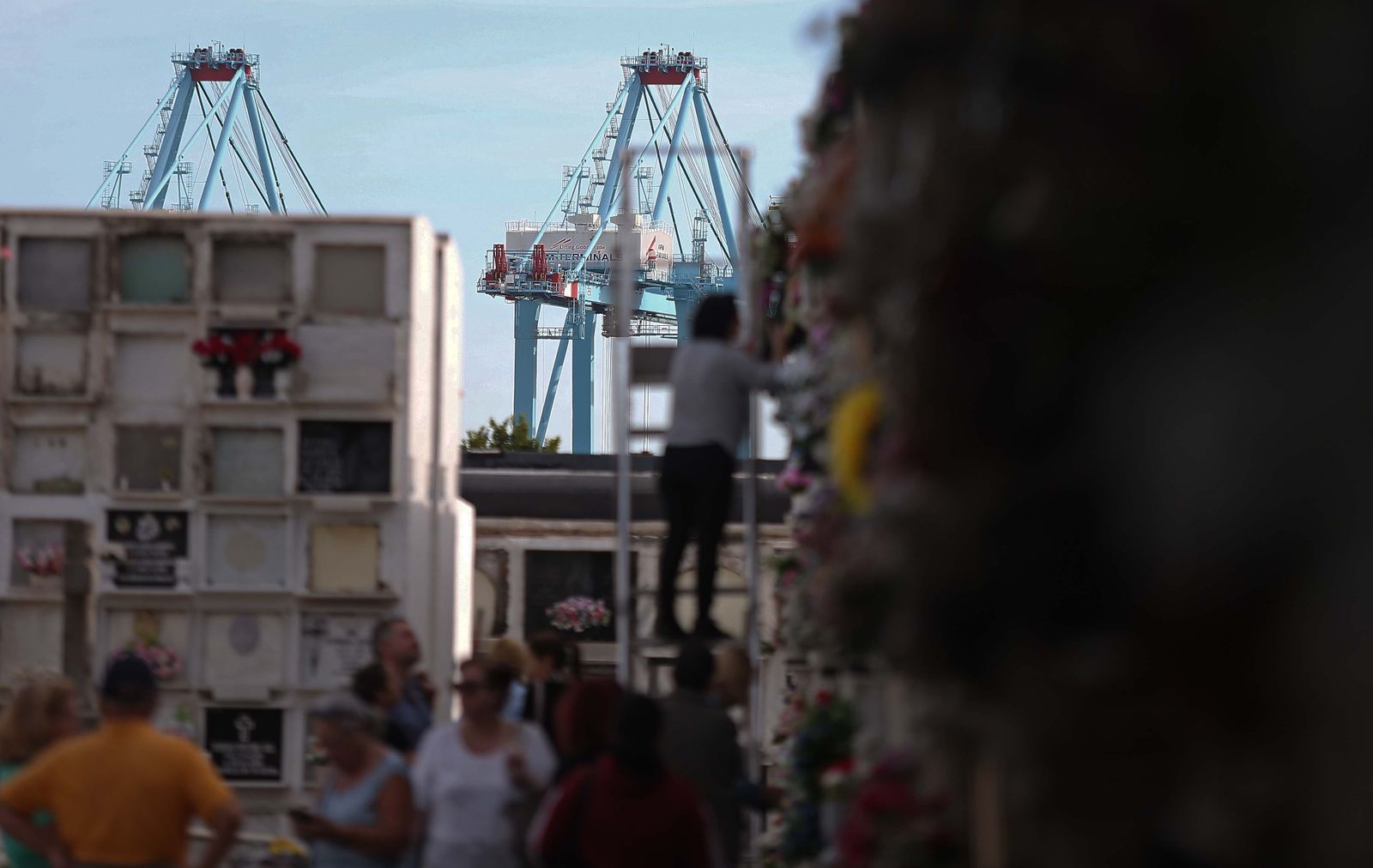 Fotos de los preparativos para los Tosantos en el cementerio de Algeciras
