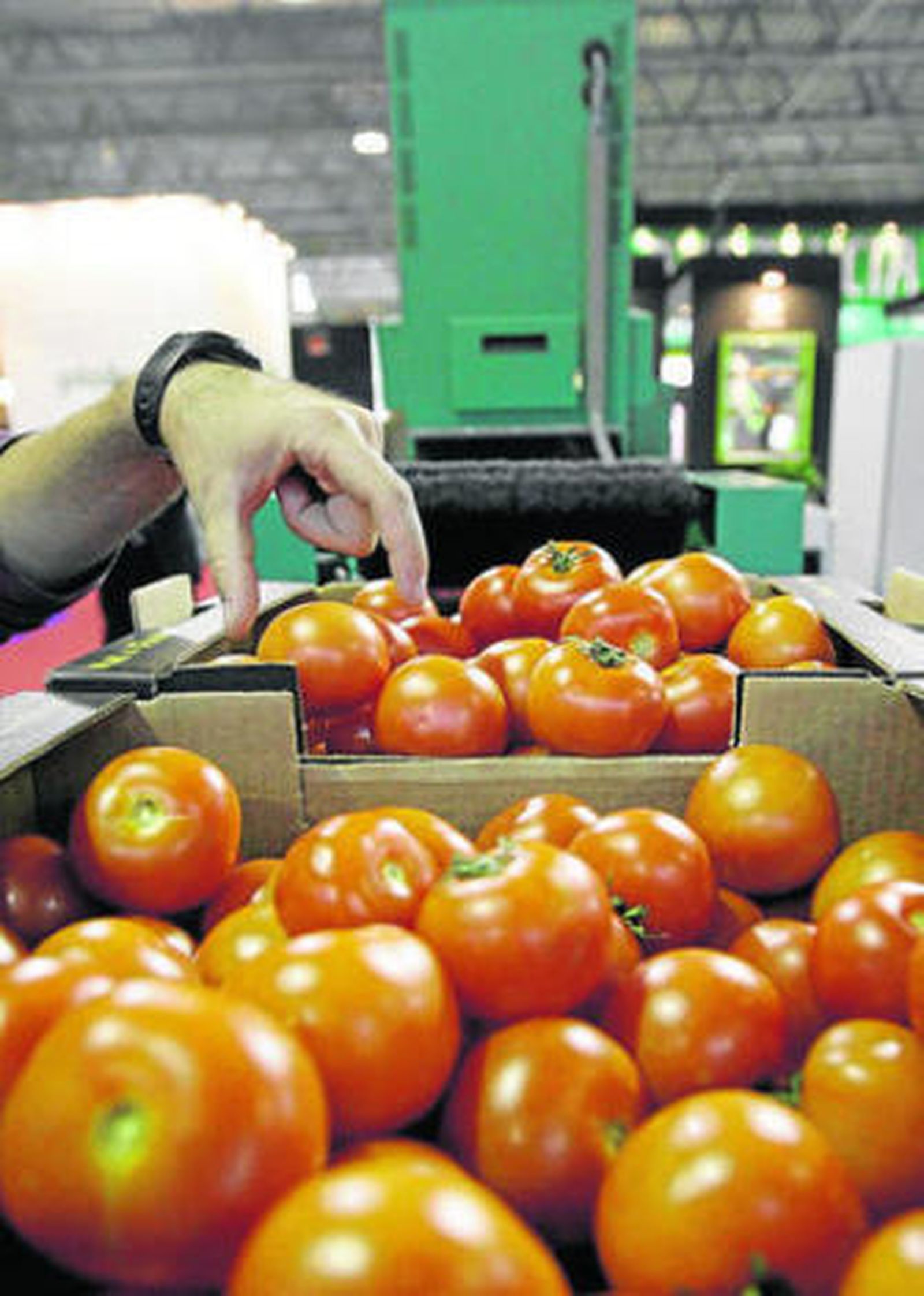 Fruit Audit se puso en marcha hace poco más de un año.