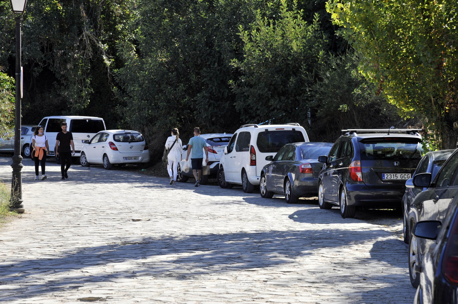 Nuevo lleno de visitantes en El Bosque