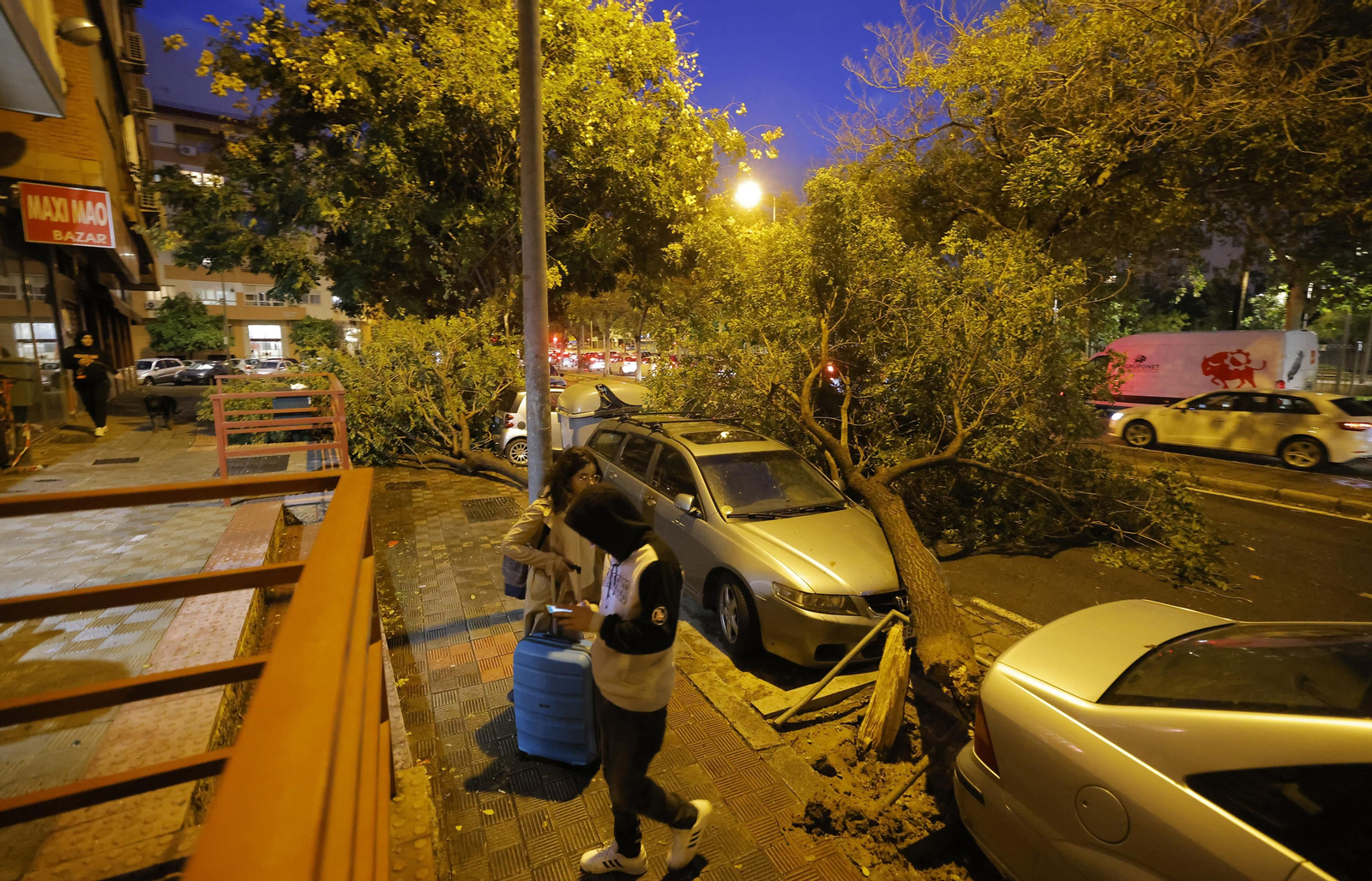 Los efectos de la borrasca 'Bernard' en Sevilla, todas las fotos