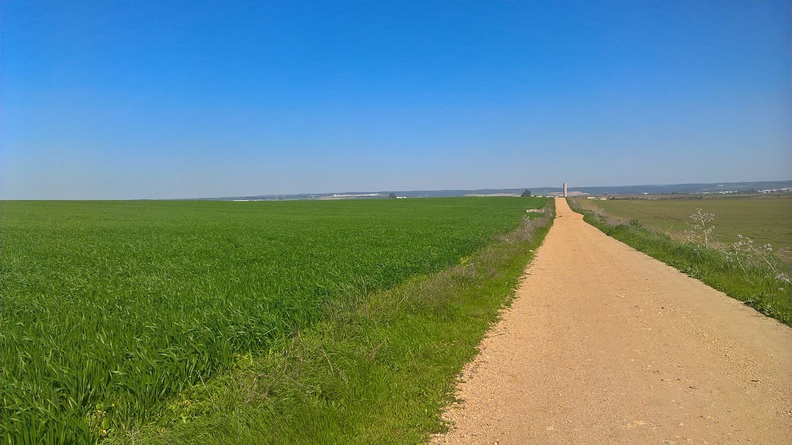 Recta antes de llegar a Guillena.