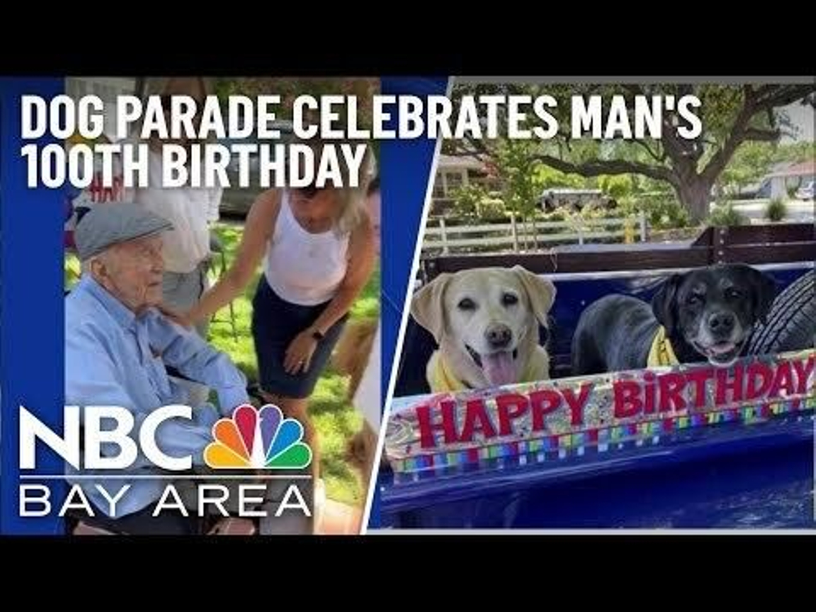 Un amante de los perros celebra su 100 cumpleaños con una fiesta con 200 perros