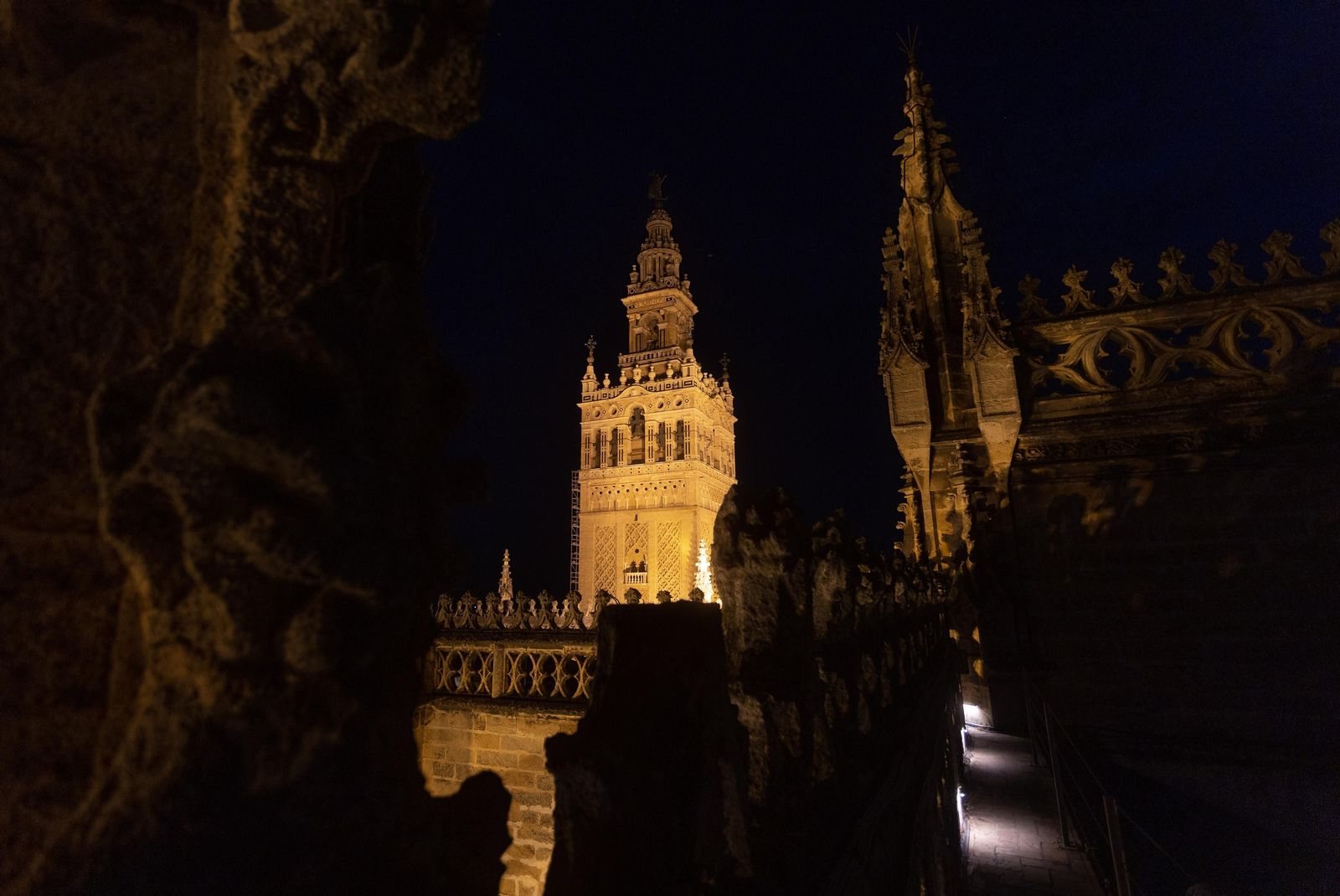 Las impresionantes imágenes de las cubiertas de la Catedral al anochecer