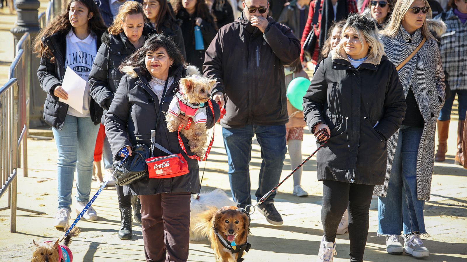 Búscate en San Antón de Jerez