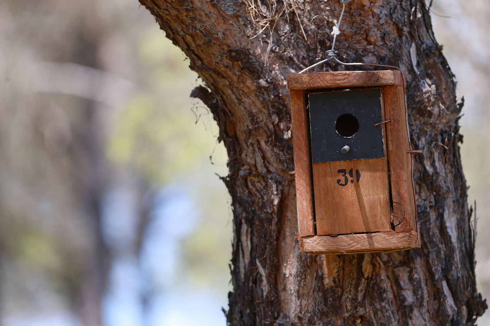 Imágenes del viernes 3 de mayo en Huelva