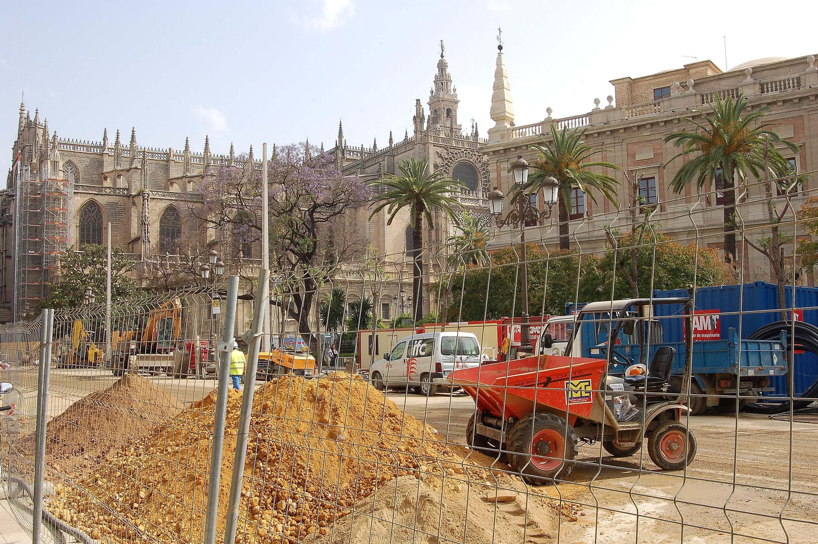 La epidermis 	abierta