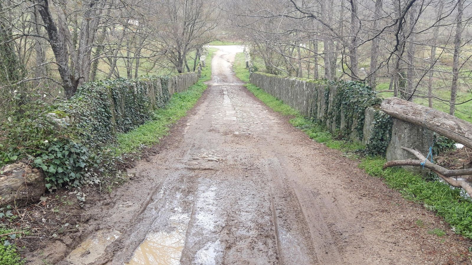 El Puente de la Magdalena.