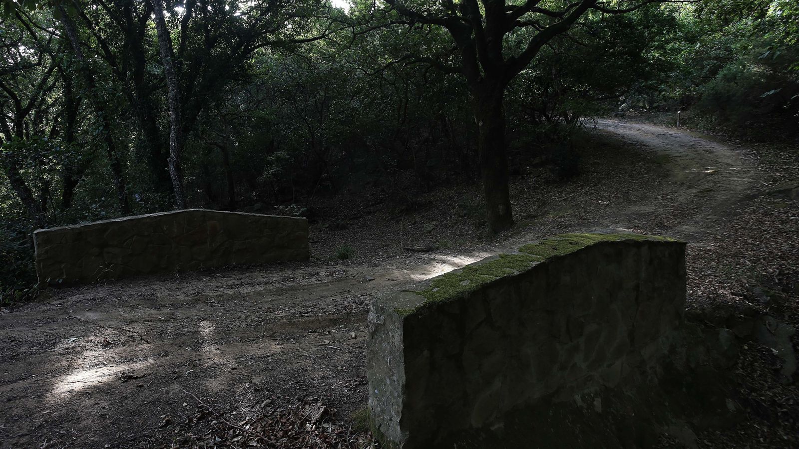 Las mejores fotos de San Carlos del Tiradero
