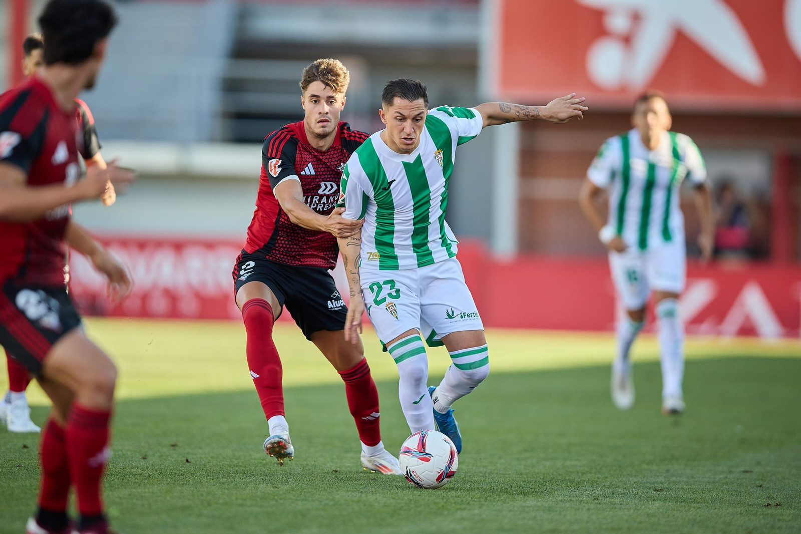Las mejores fotos del Mirandés - Córdoba CF en Anduva