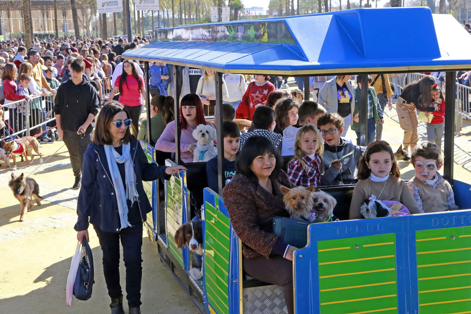 Imágenes de San Antón 2020 en Jerez
