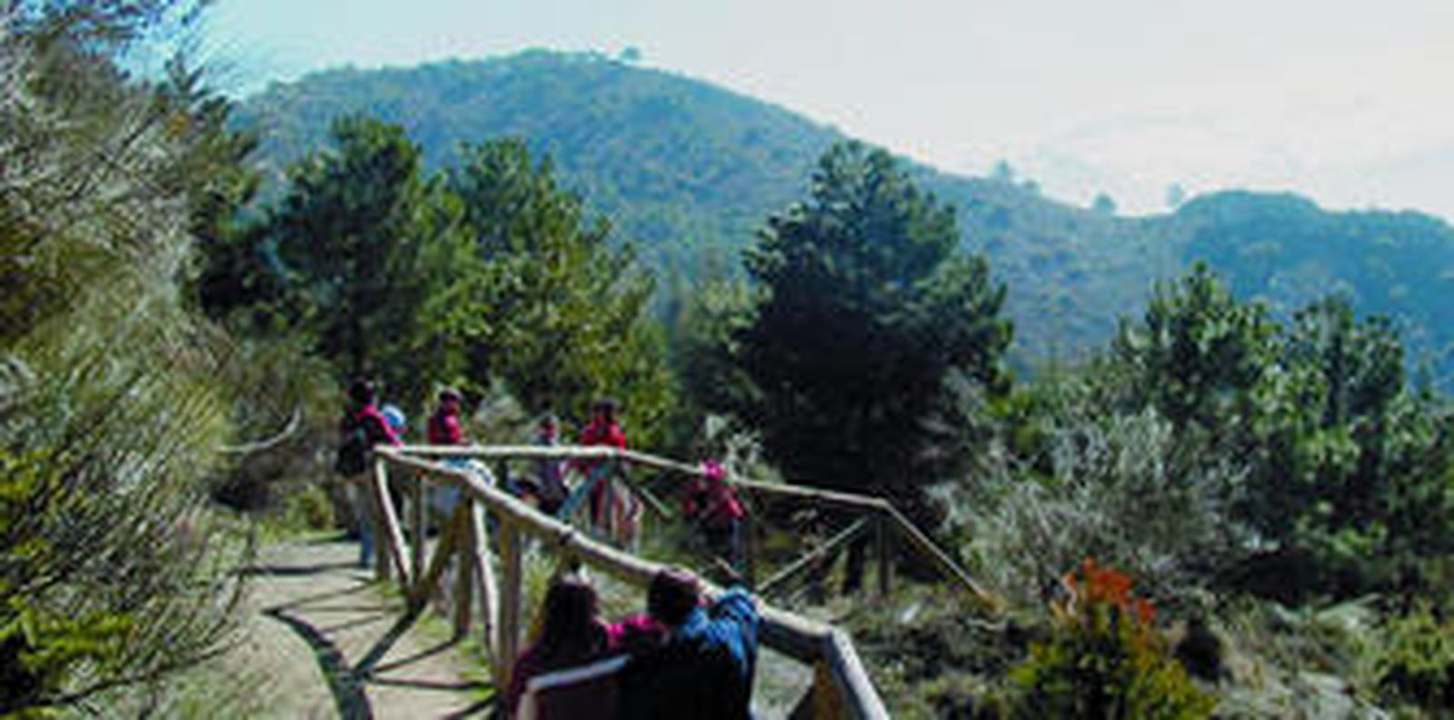 La Junta quiere dejar algunas piezas de esta especie en la Parque Natural de Huétor.