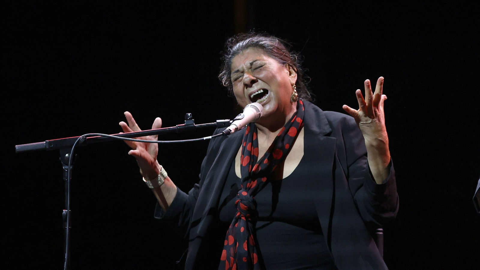 Imágenes de la 58 edición de la Fiesta de la Bulería en Jerez