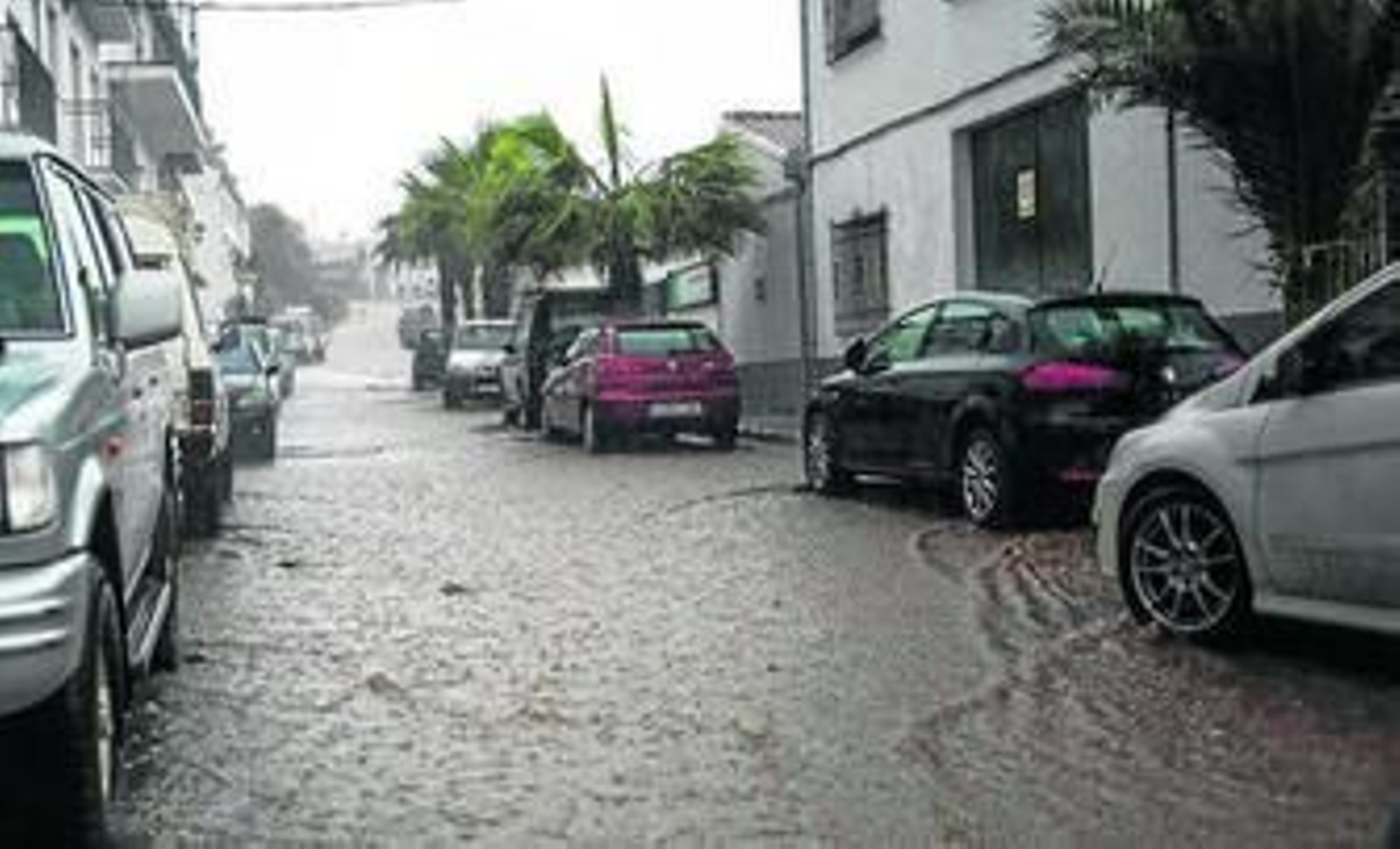 El agua baja con intensidad por una calle de la localidad de Pujerra.