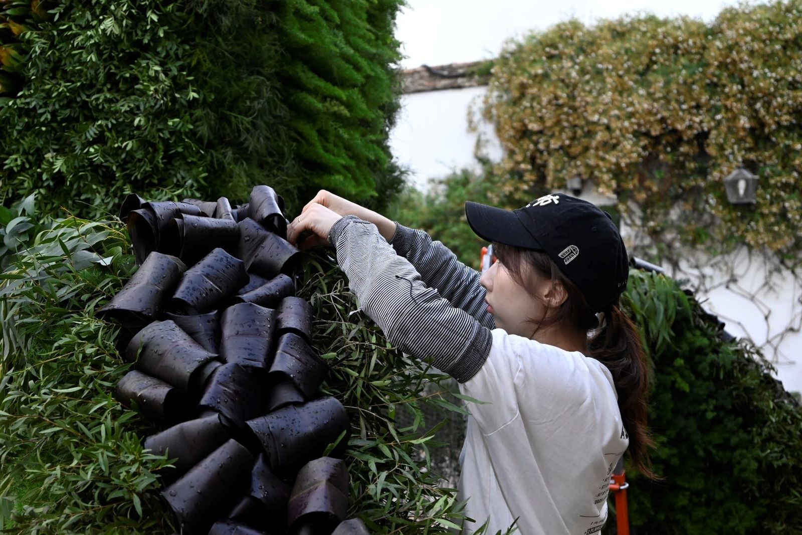 El avance de las creaciones de Flora, en imágenes