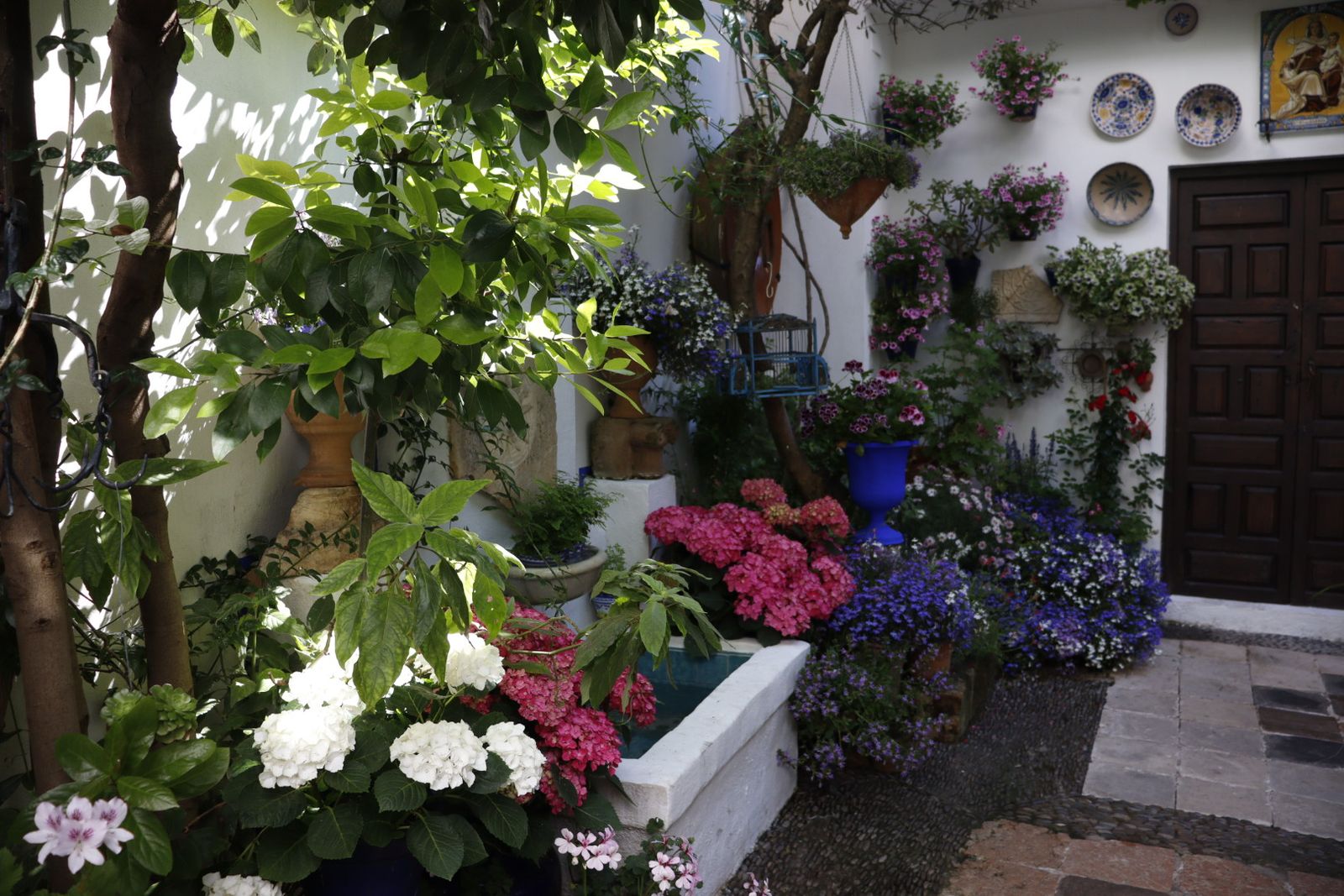 Ruta de los patios de San Lorenzo