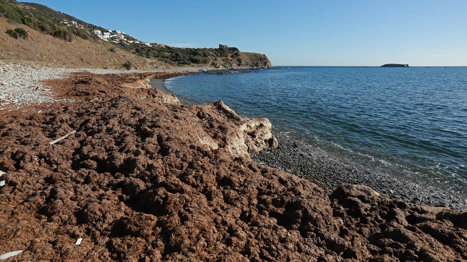 Las mejores fotos del sendero de la Colada de la Costa en Algeciras