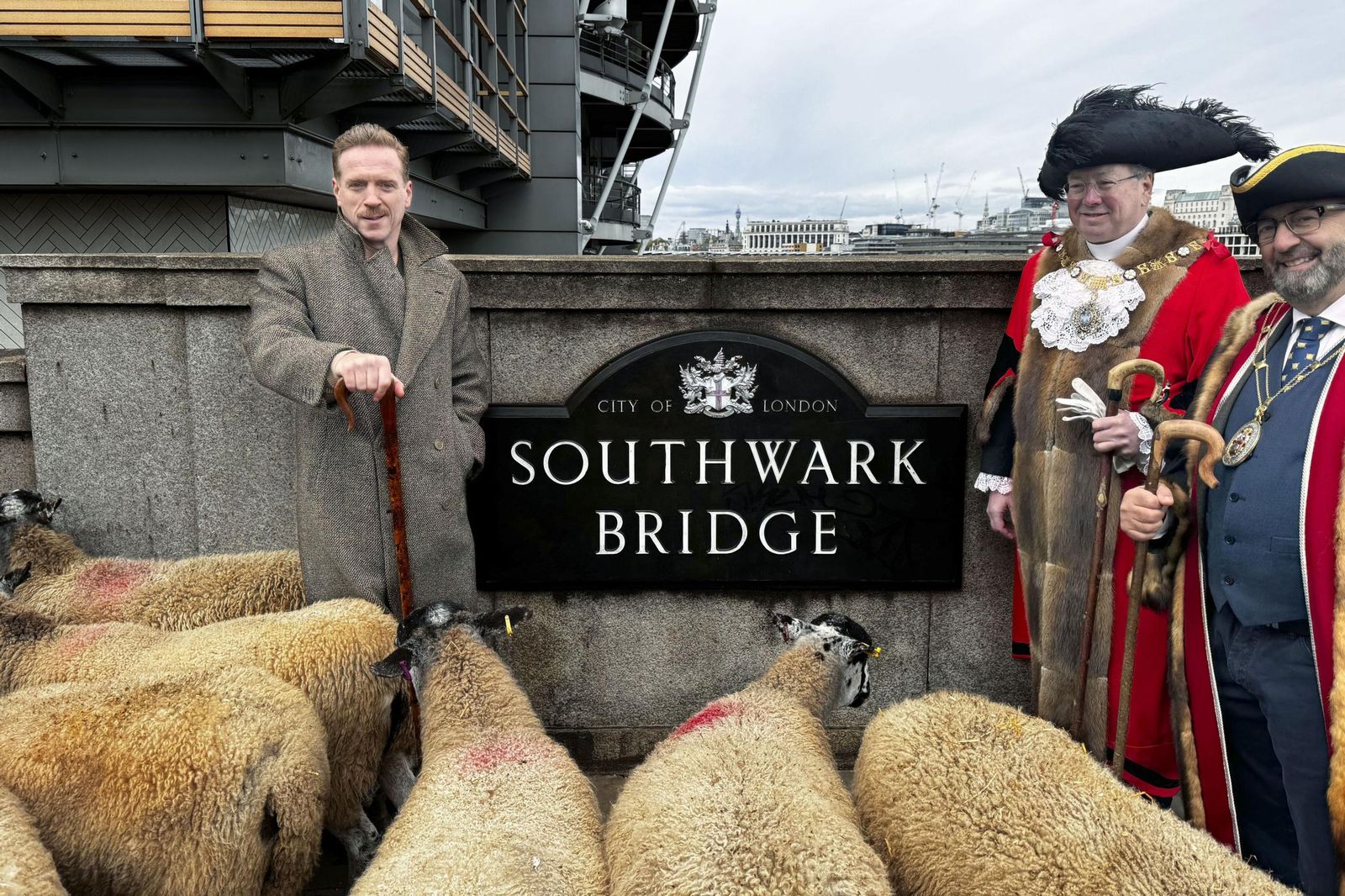 Damian Lewis pastorea a un rebaño de ovejas por el centro de Londres