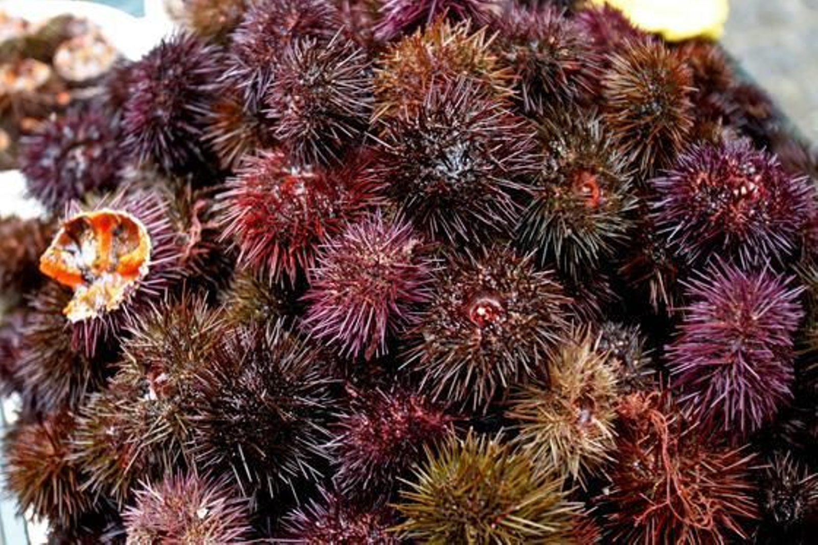 Foto: Lourdes de Vicente