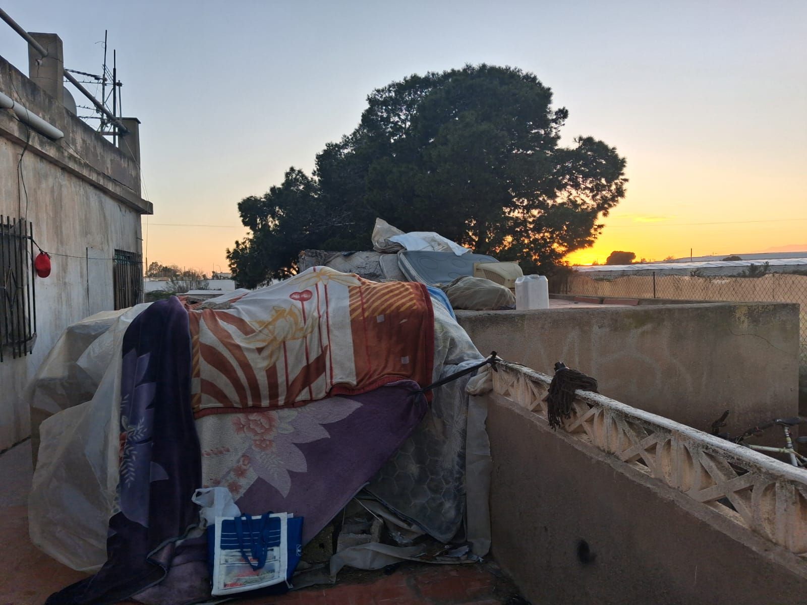 WhatsApp Image 2026-02-12 at 18.59.08 (2)