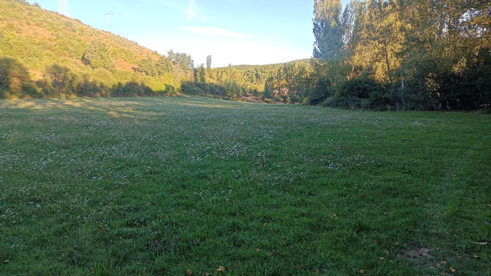 Pradera junto al río Tuéjar. No hay un camino marcado.