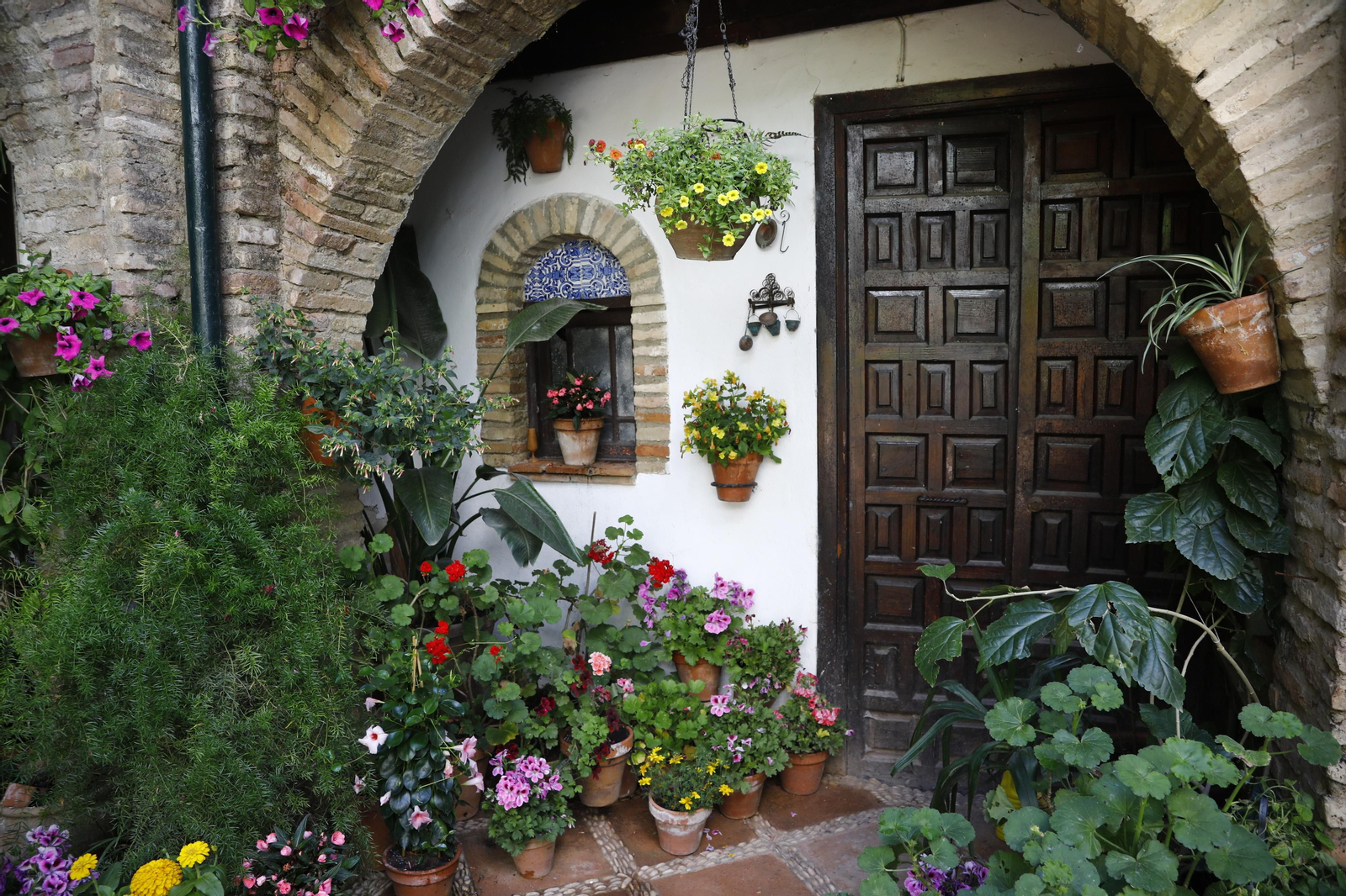 Los Patios de Córdoba se preparan para el fin de semana, en imágenes