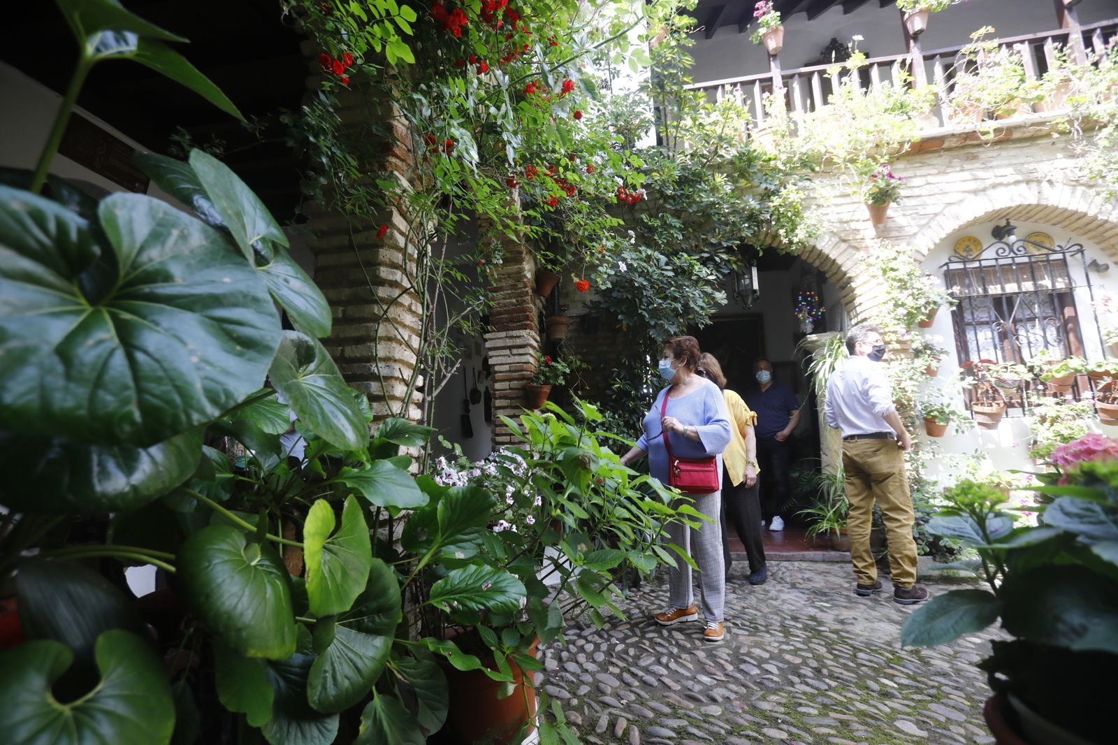 Fotografías: Sábado de colas y bulla en los Patios de Córdoba