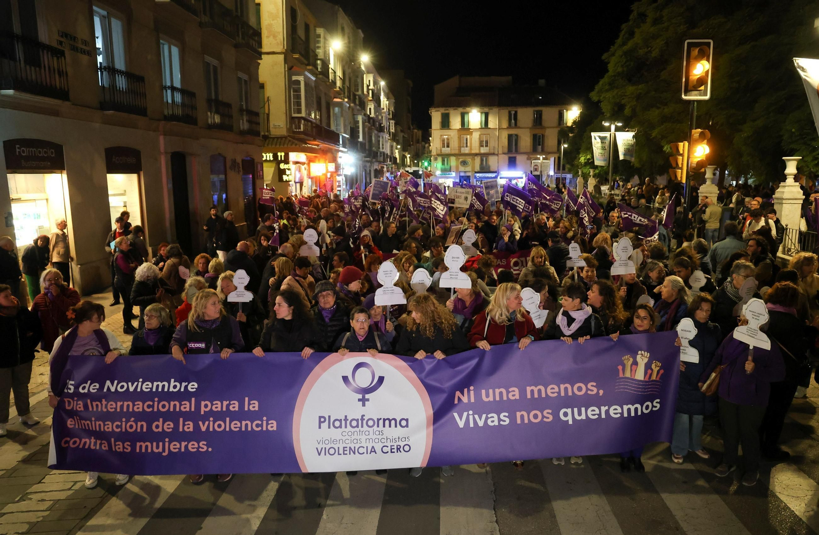 La manifestación del 25N en Málaga, en imágenes