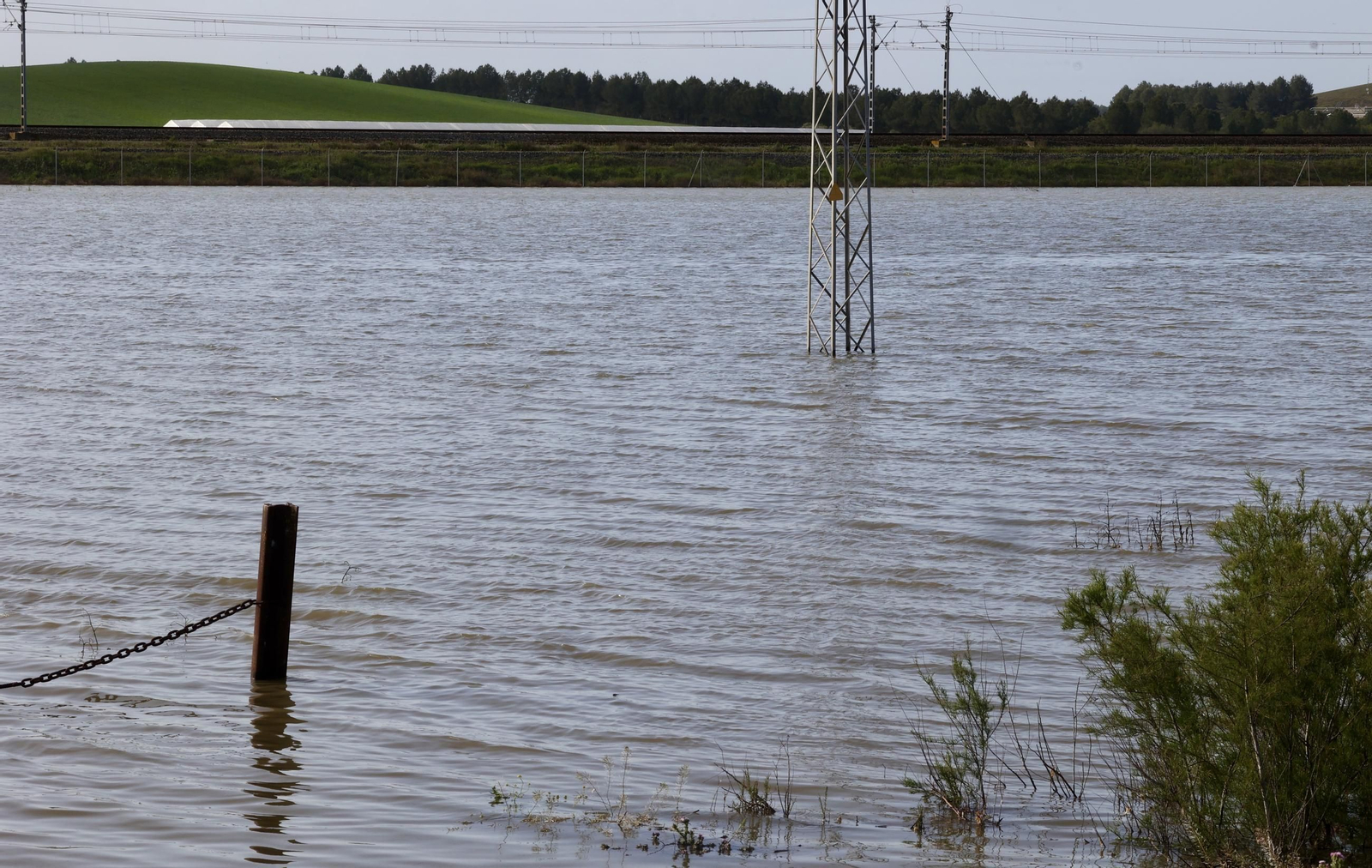El campo en Lebrija inundado tras las lluvias