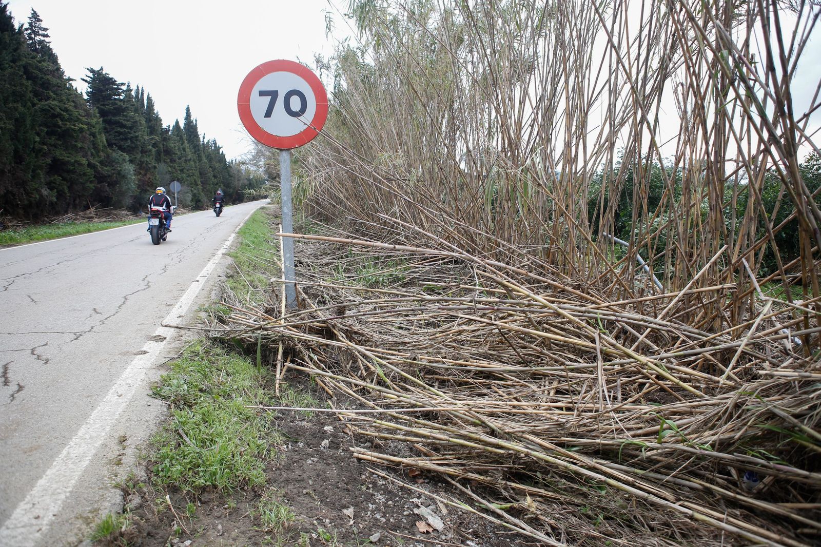 Fotos de las consecuencias de la borrasca Francis en Tesorillo y Jimena