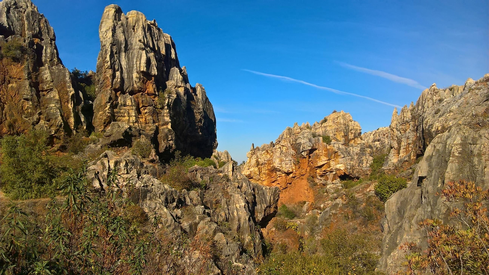 Fotos de la Vía Verde de la Sierra Norte