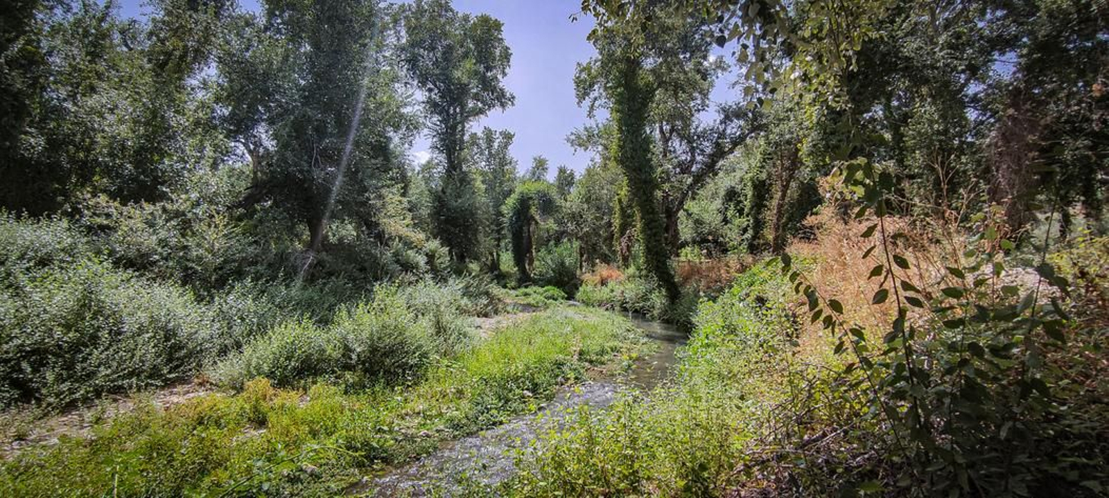 Ruta senderista y por el agua en Los Cañones de Río Frío de Jaén