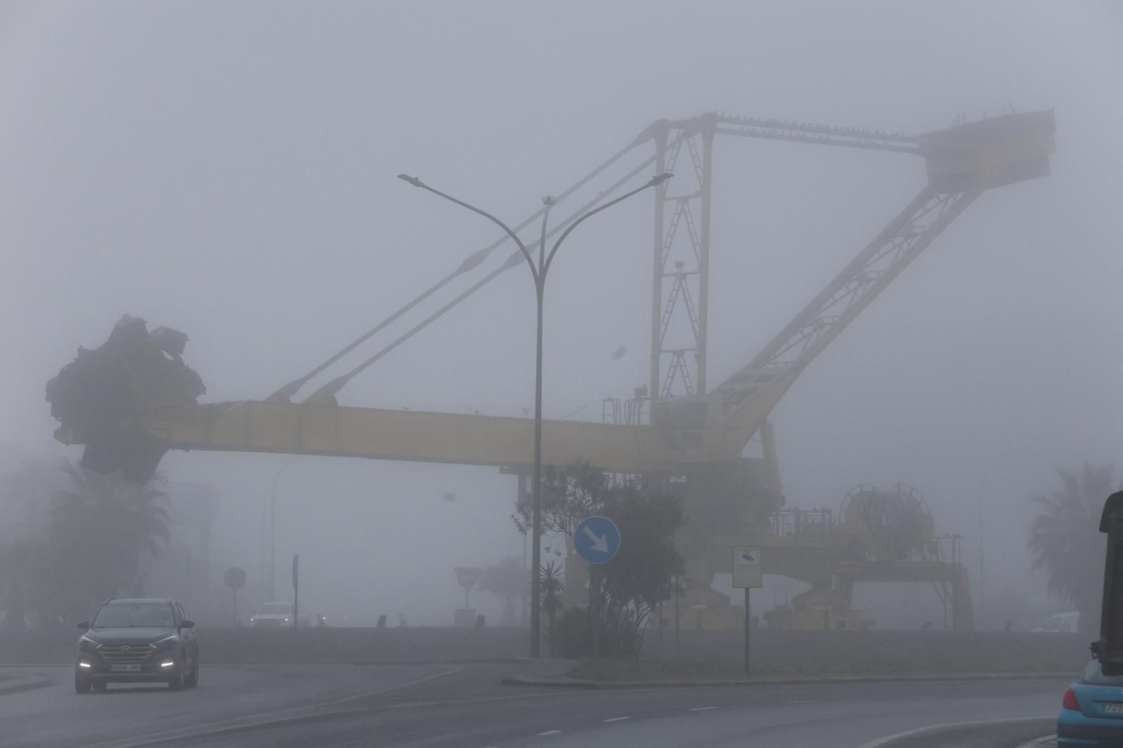 WhatsApp Image 2026-01-14 at 10.33.25 (1)