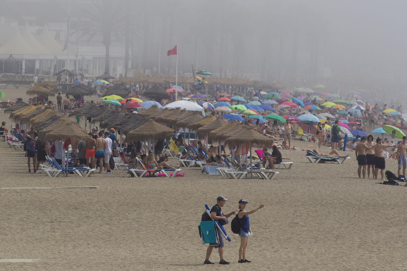 El taró provoca la prohibición del baño en las playas de Málaga, en imágenes