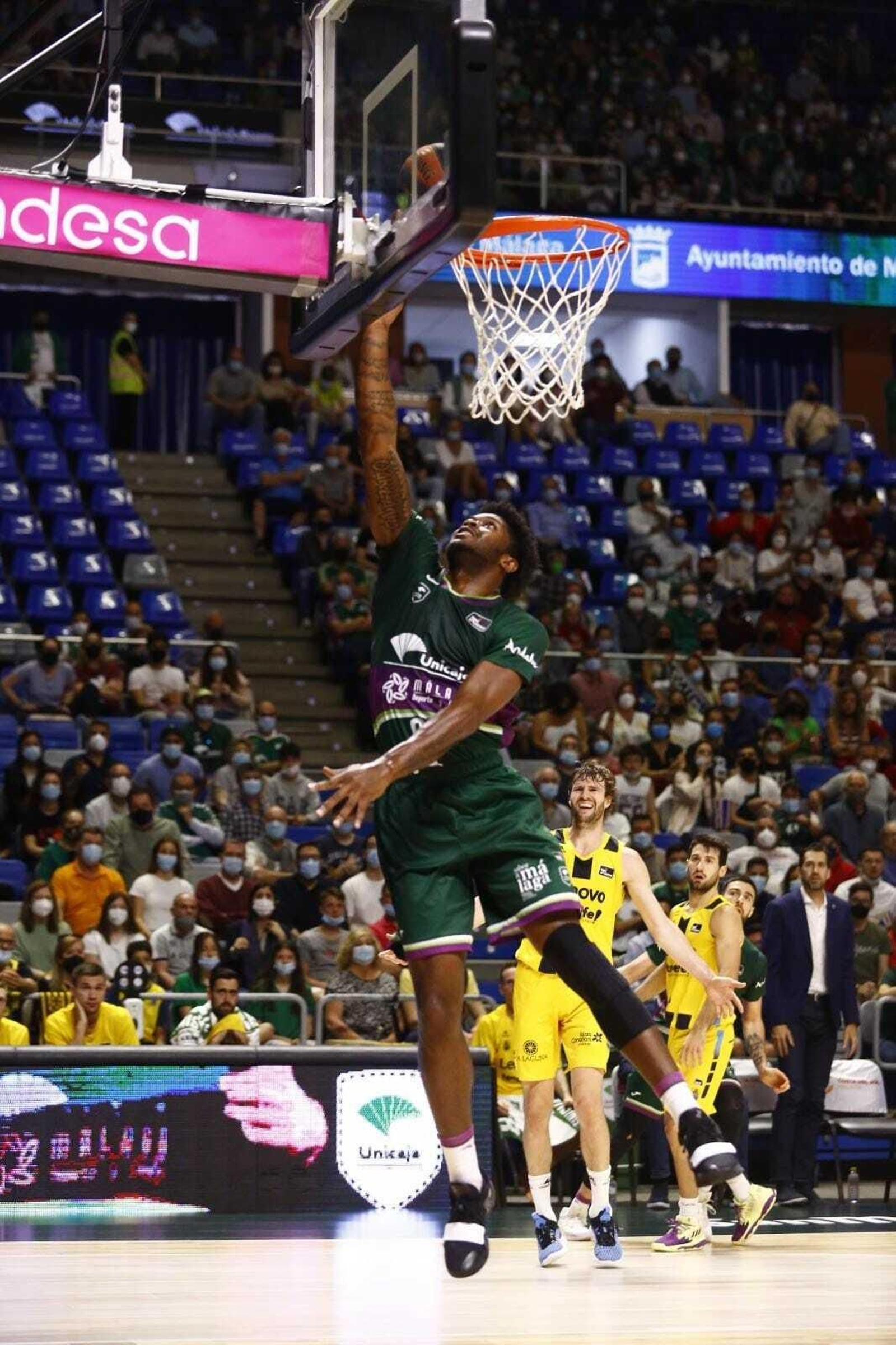 Las fotos del Unicaja-Lenovo Tenerife