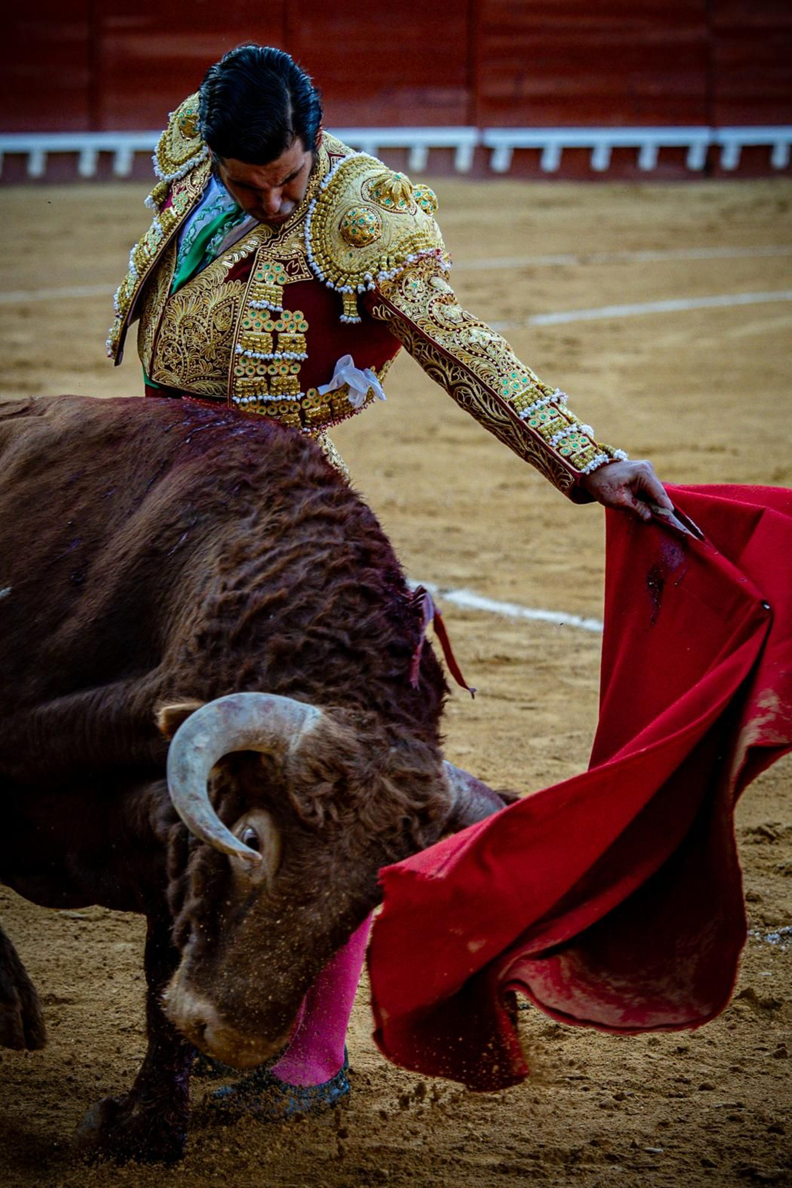 Las imágenes de la corrida de toros en El Puerto: Morante, Talavante y Juan Ortega