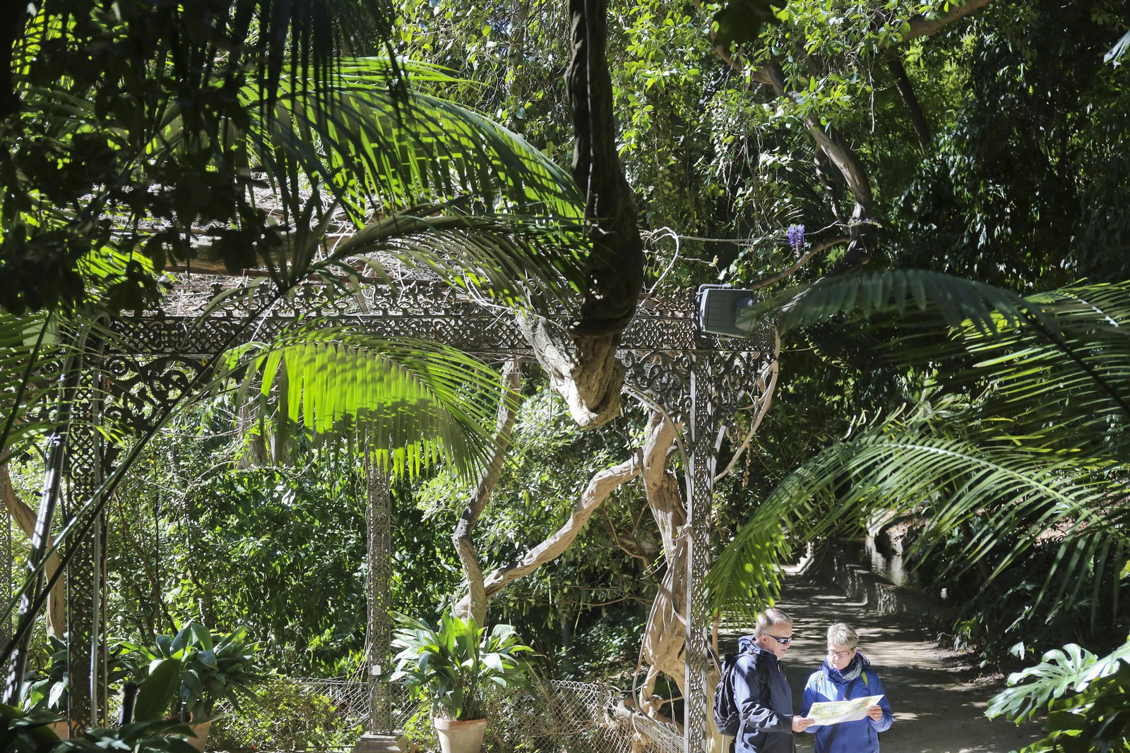 La primavera en su esplendor