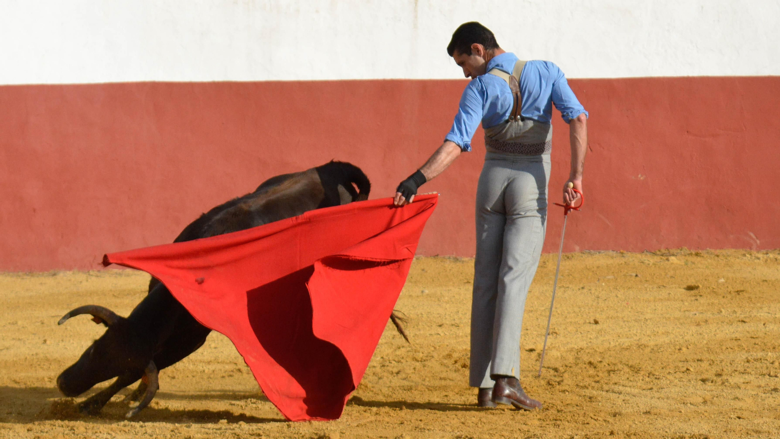 Tentadero con Talavante en la finca La Palmosilla