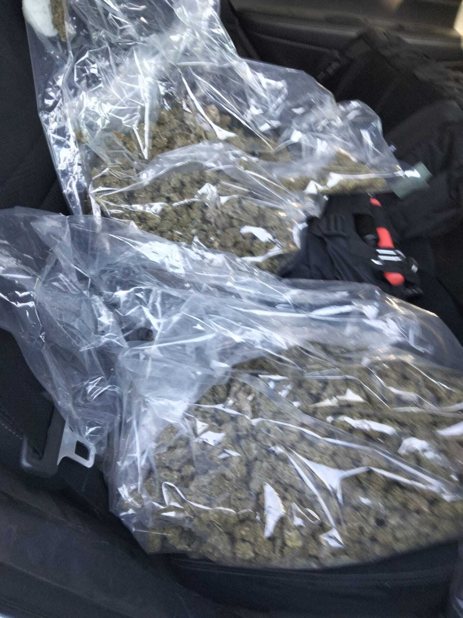 Marihuana intervenida.