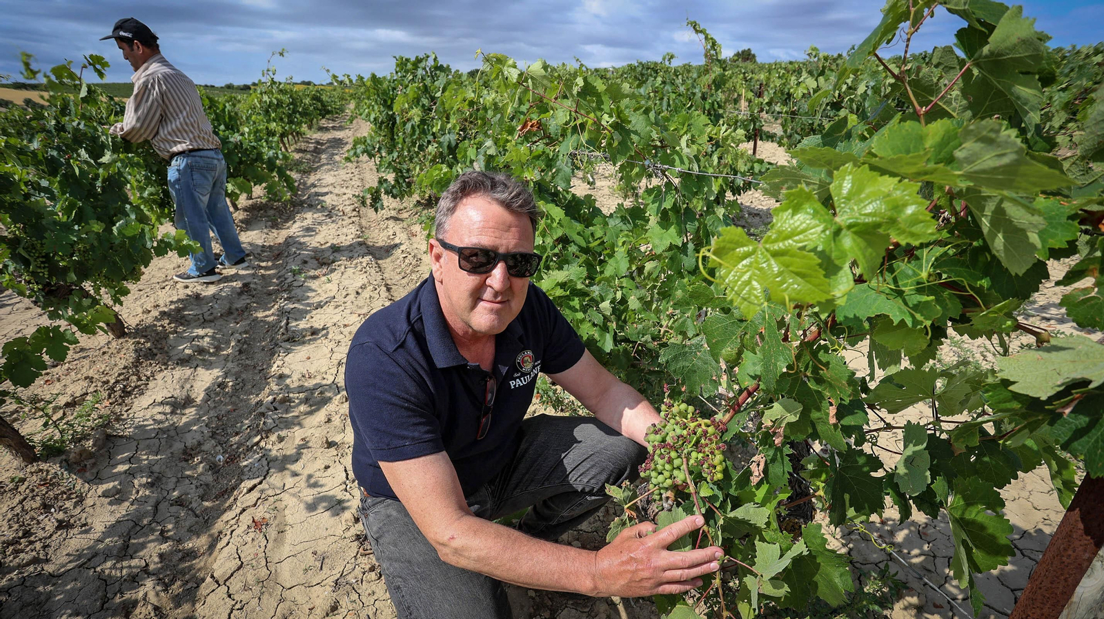 El pedrisco daña los viñedos de Trebujena