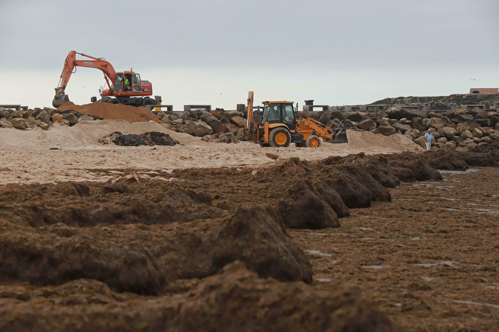 Las mejores fotos de la retirada de algas en las playas de Tarifa