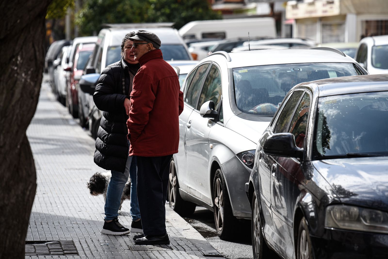Imágenes de la mañana del domingo 12 de febrero en Huelva