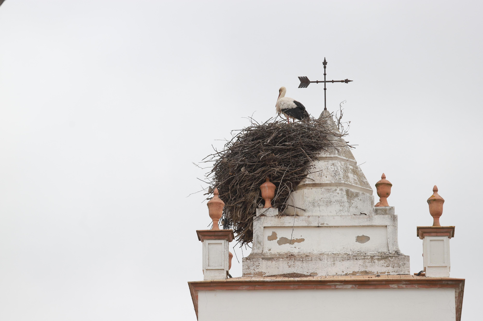 Imágenes de la jornada especial vivida en Almonte sin la procesión de la Virgen del Rocío