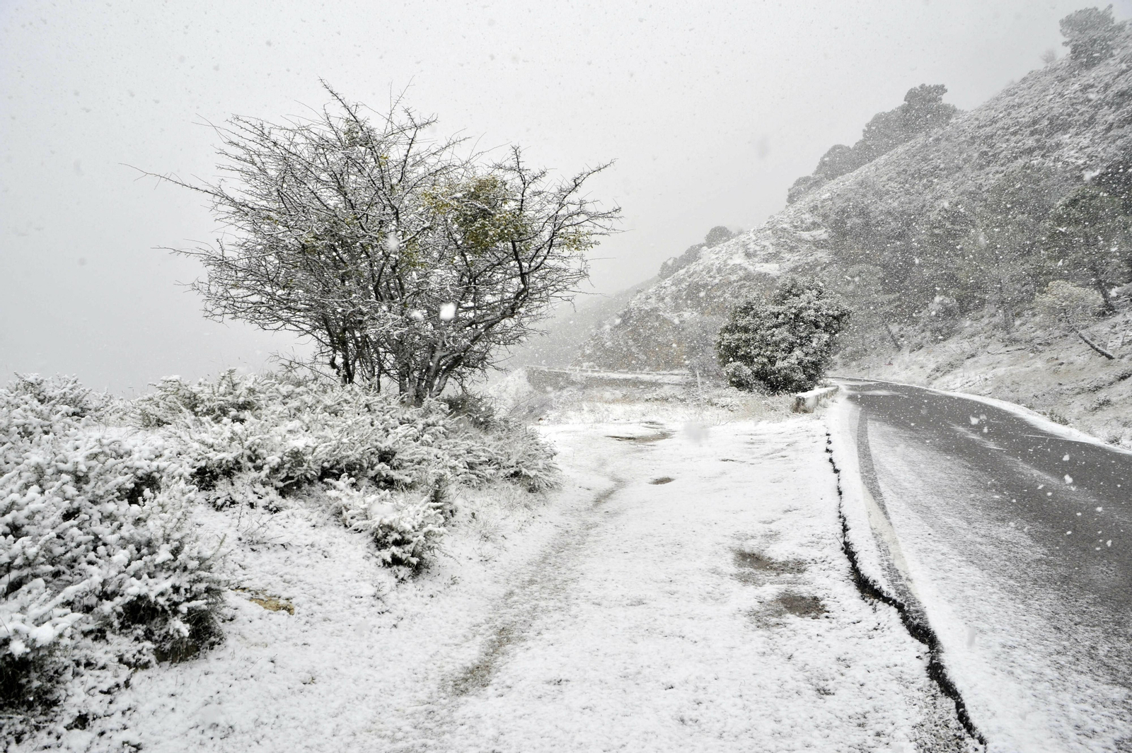 Nieve en Grazalema