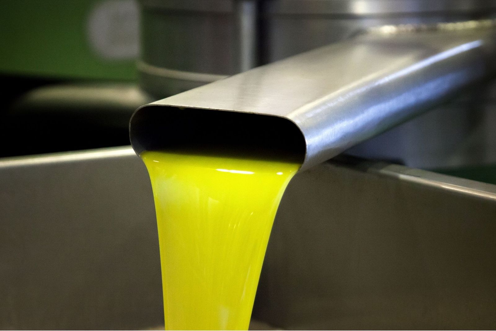 Cata a ciegas para elegir el mejor aceite de oliva virgen extra de la provincia de Huelva