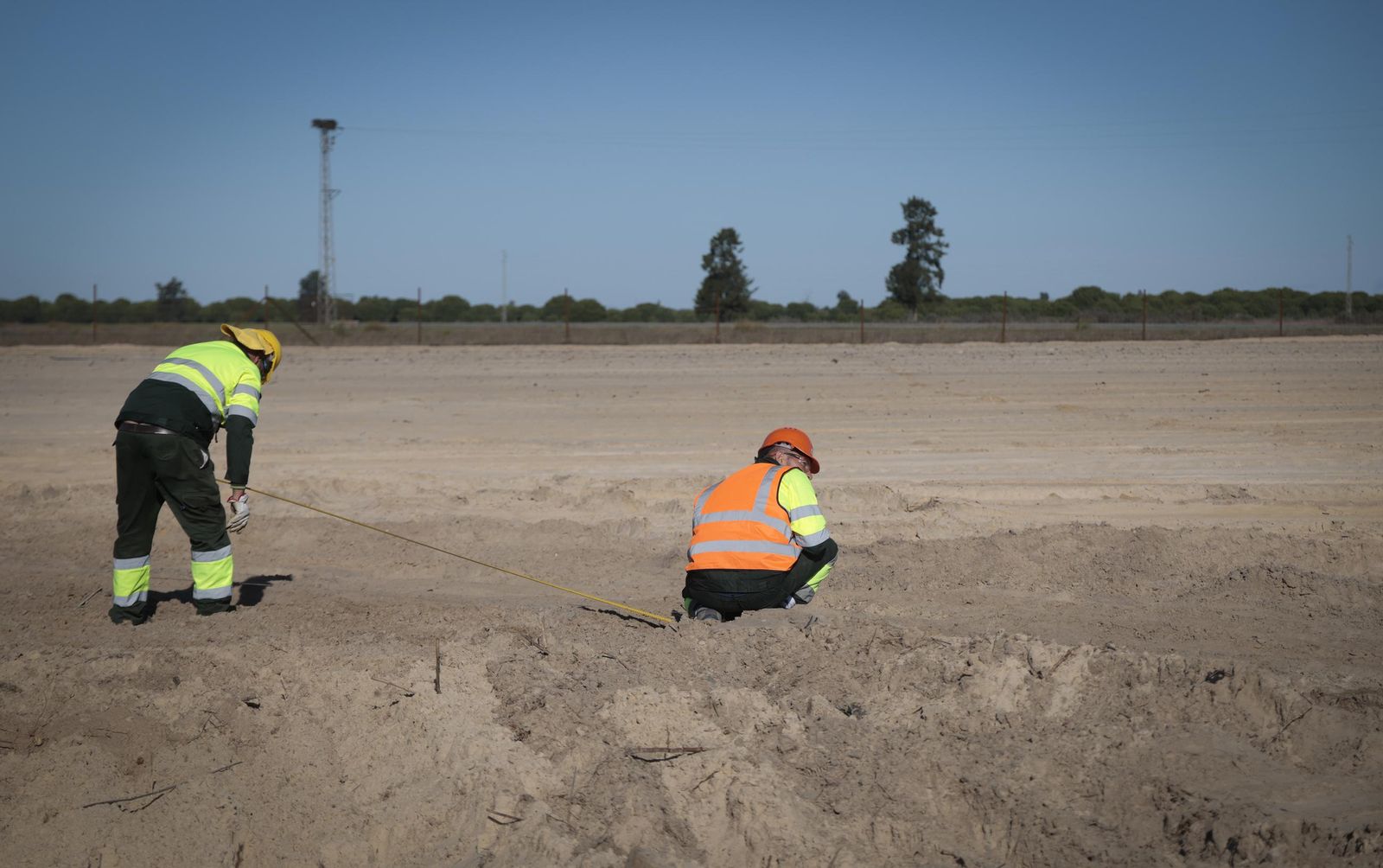 La renaturalización de Los Mimbrales: imágenes de la transformación del espacio natural