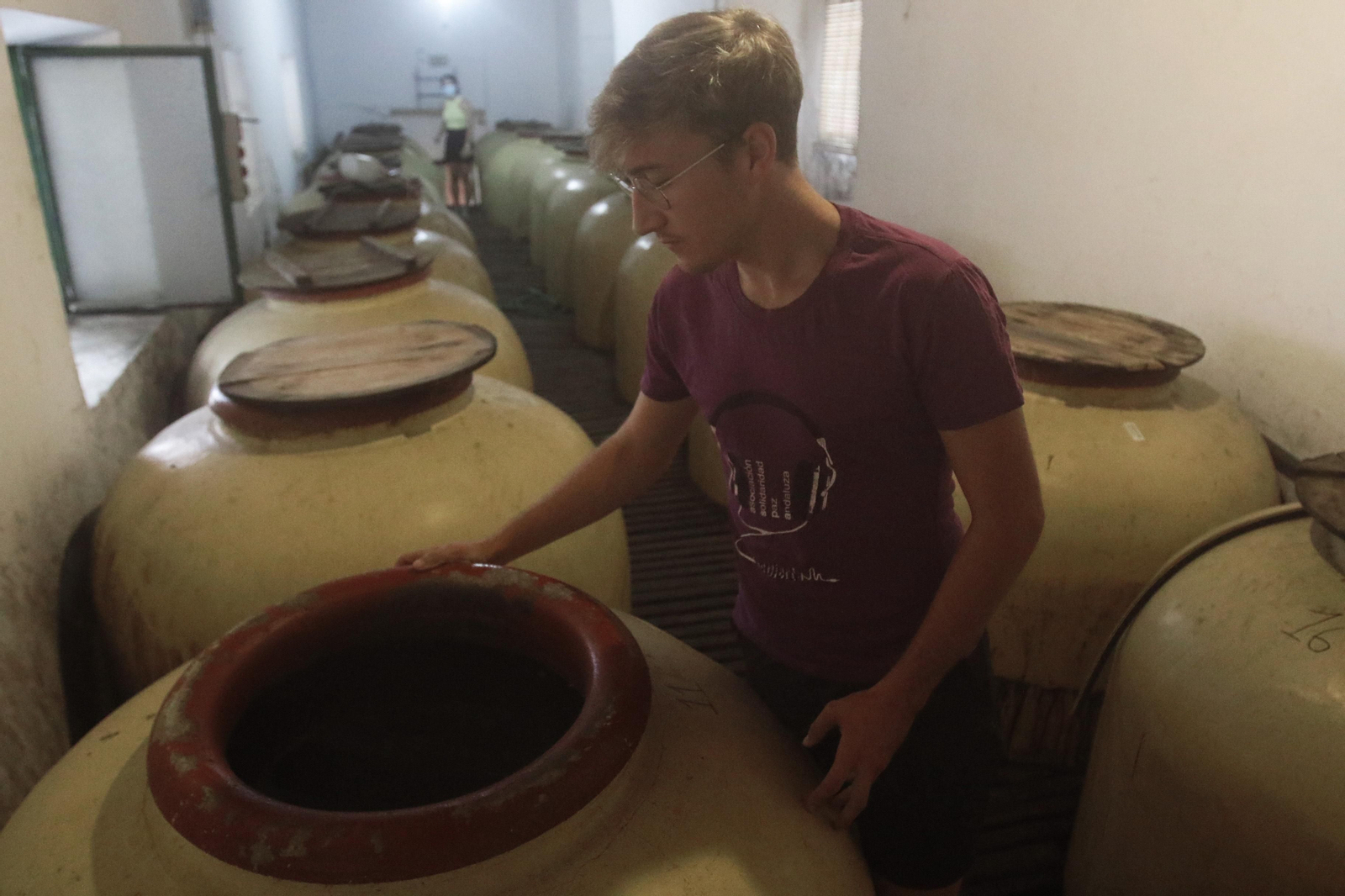 La vendimia en Montilla-Moriles, en fotografías