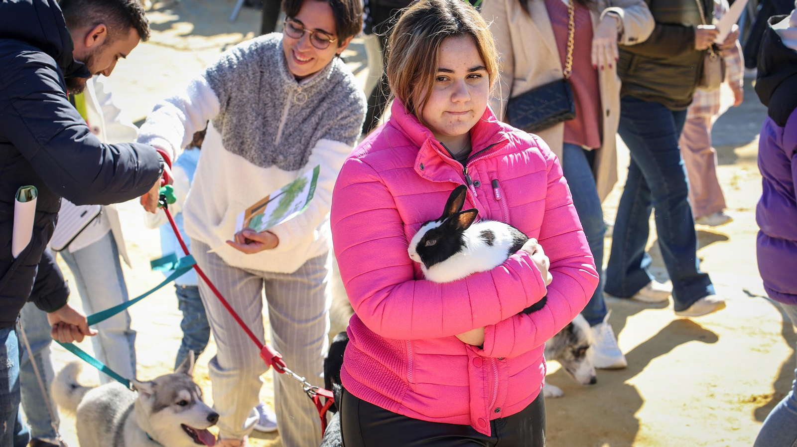 Búscate en San Antón de Jerez